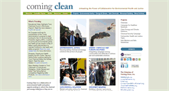 Desktop Screenshot of comingcleaninc.org